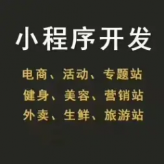 企事业单位系统定制开发，网站建设
