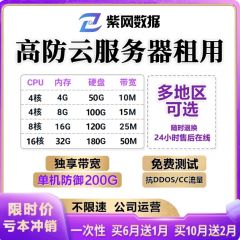 云服务器租用湖北高防 BGP服务器出租虚拟电脑主机独享电信游戏站